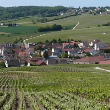 Appartement La Longere De Vin'Ay à Vinay  Extérieur photo